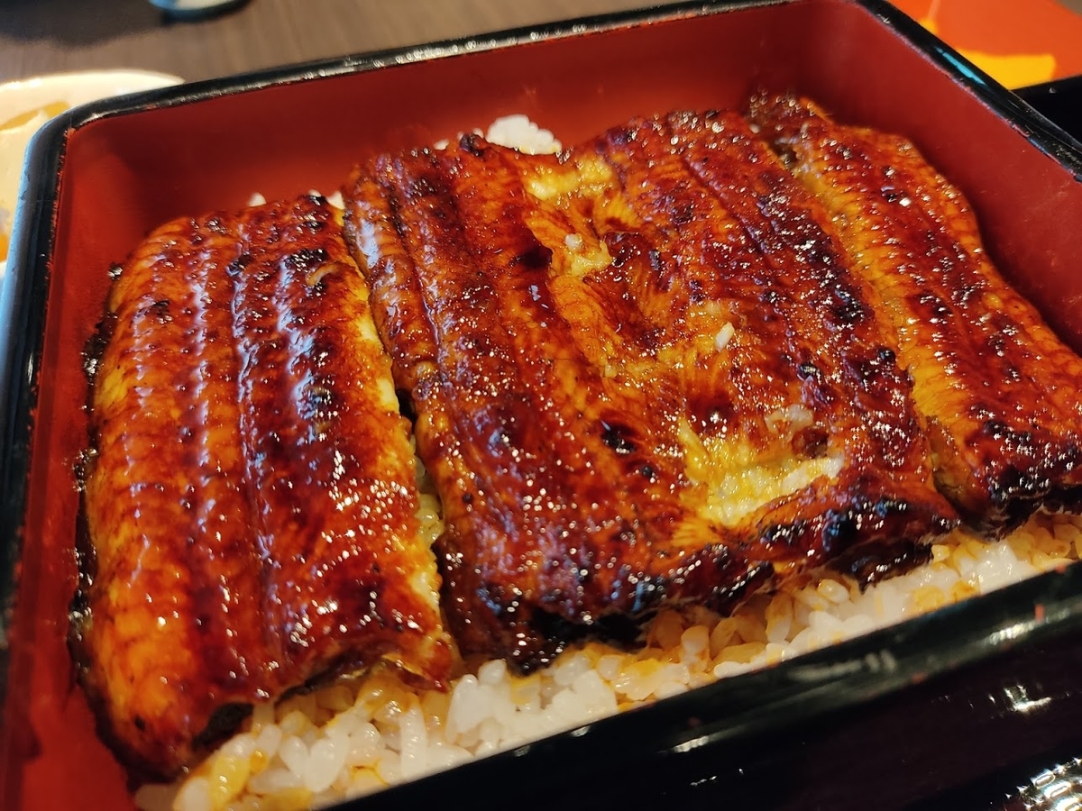 f:id:sinn156:20210626015207j:plain