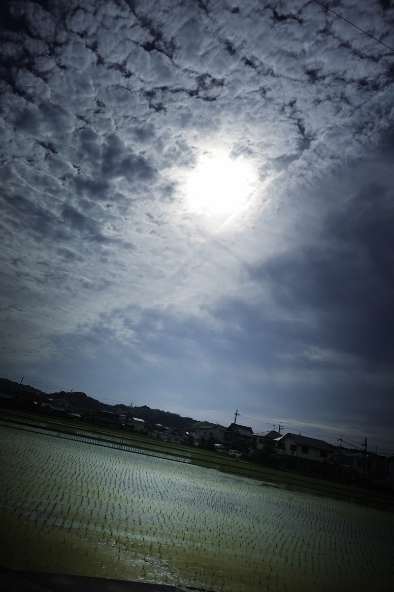 f:id:sinn156:20210716013924j:plain