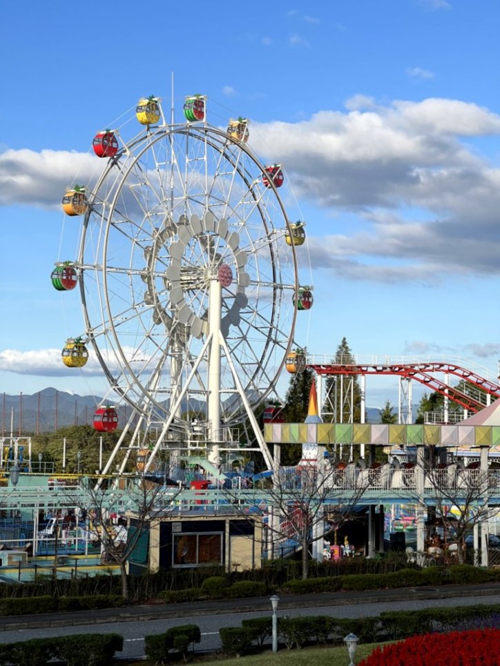 f:id:sinn156:20211112115002j:plain