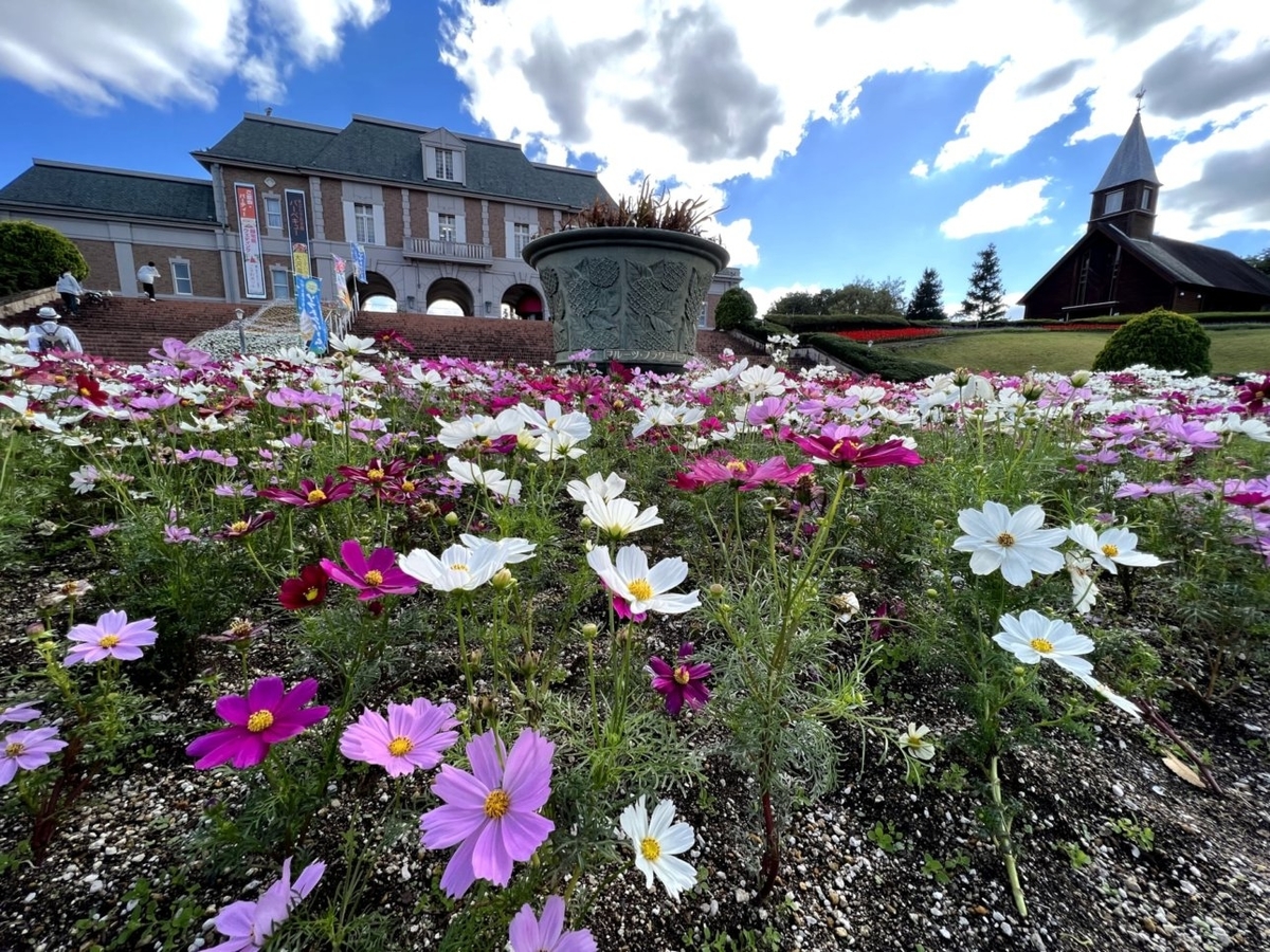 f:id:sinn156:20211112115938j:plain