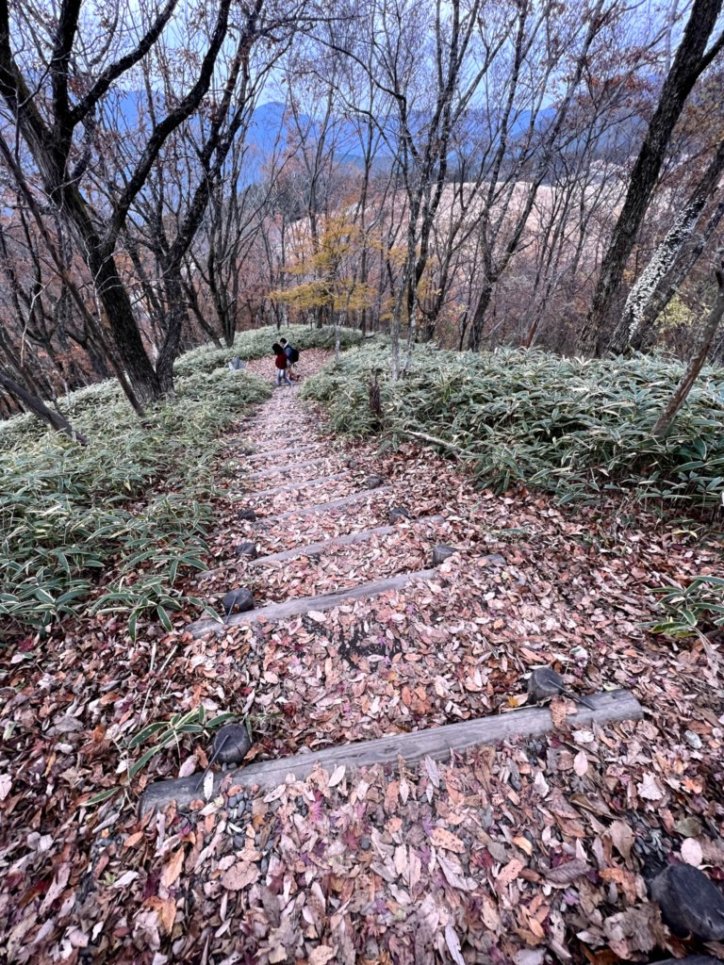 f:id:sinn156:20211230105552j:plain