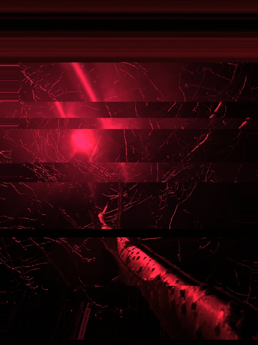 f:id:sinn156:20220114011406j:plain