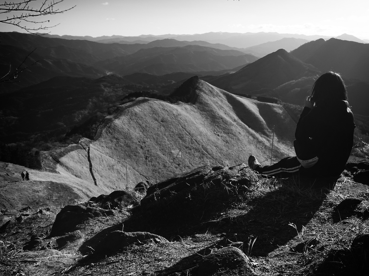 f:id:sinn156:20220206150113j:plain