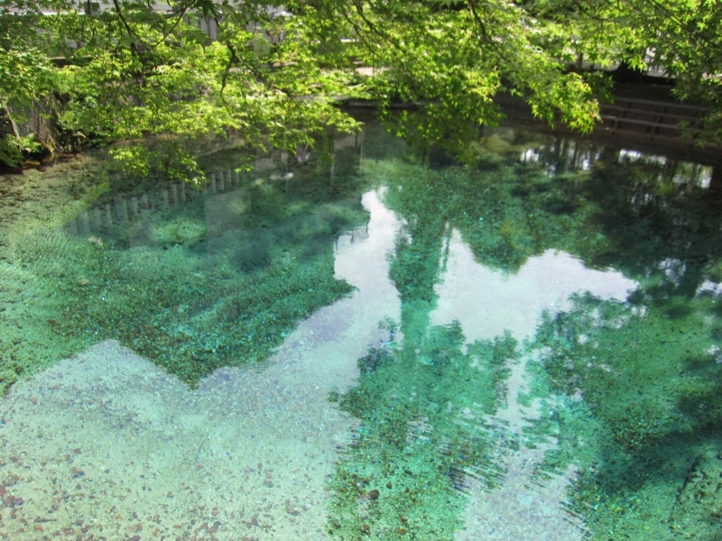 f:id:sinnjyounohito:20180609214331j:image:w270 f:id:sinnjyounohito:20180609214331j:image:w270