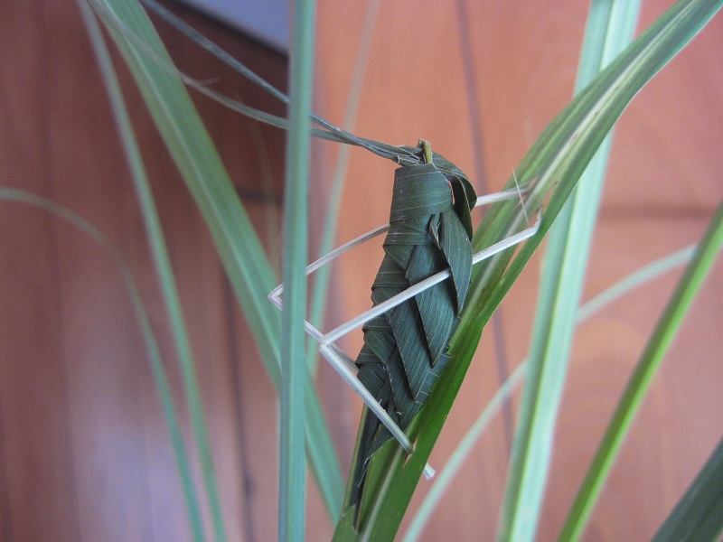 f:id:sinnjyounohito:20190724194429j:plain:w270 f:id:sinnjyounohito:20190724194429j:plain:w270