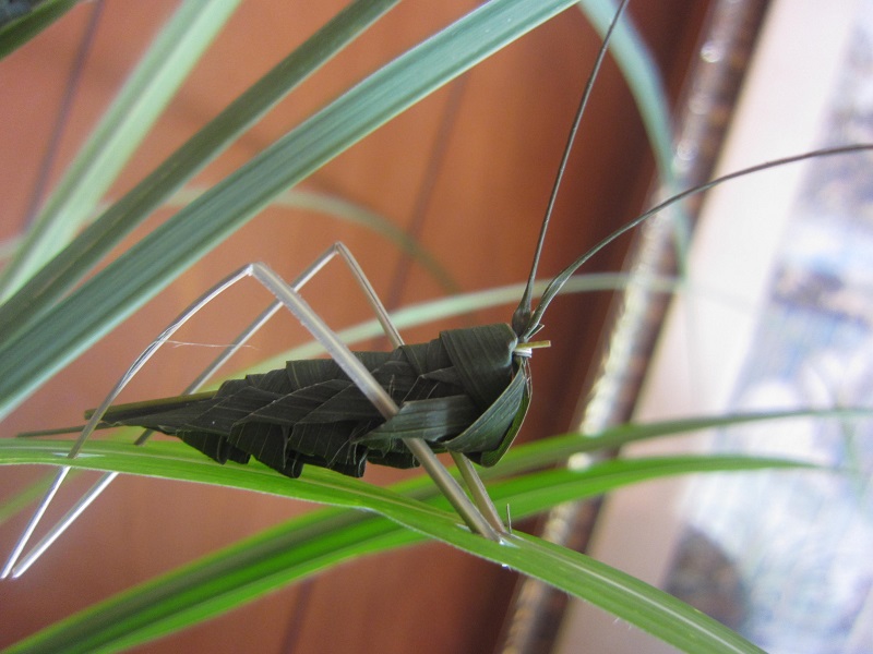 f:id:sinnjyounohito:20190724194500j:plain:w270 f:id:sinnjyounohito:20190724194500j:plain:w270