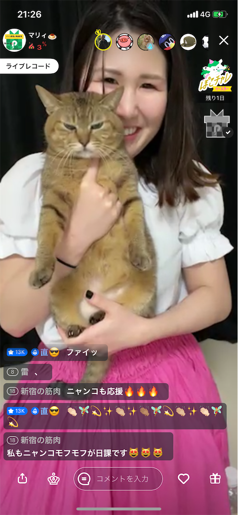 f:id:sinnjyuku29:20210406222409p:image