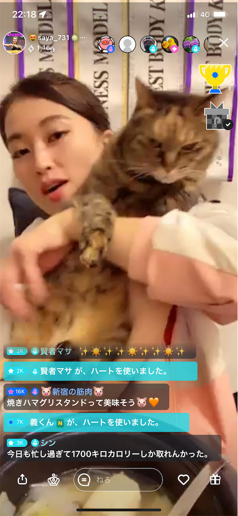 f:id:sinnjyuku29:20220302214946p:image
