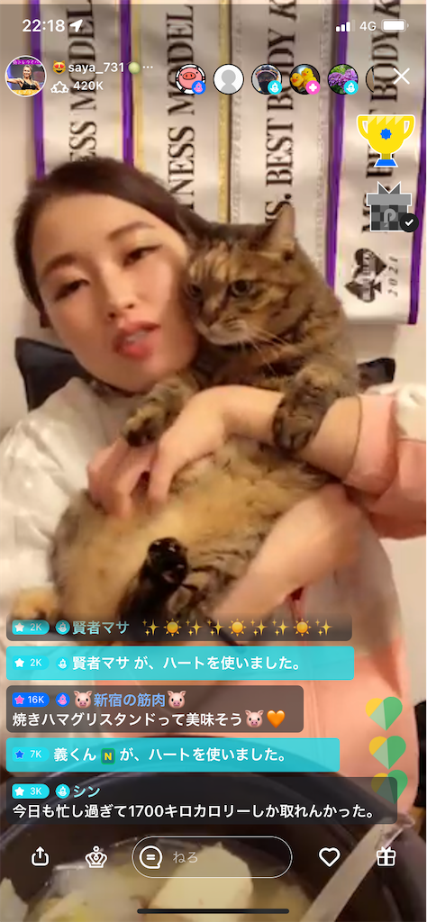 f:id:sinnjyuku29:20220302230406p:image