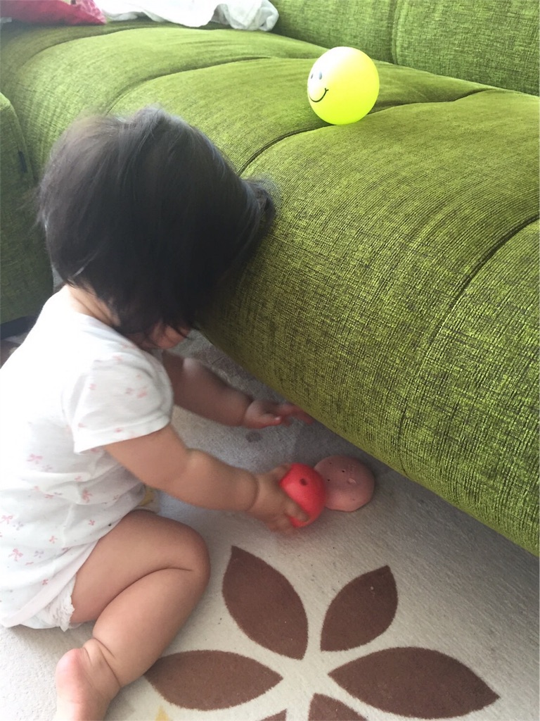 f:id:sinnmaipapa:20160725015249j:image f:id:sinnmaipapa:20160725015249j:image