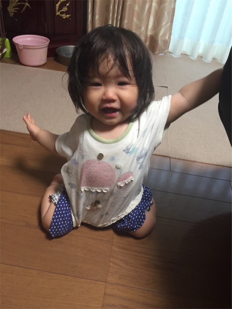 f:id:sinnmaipapa:20160725062812j:image f:id:sinnmaipapa:20160725062812j:image