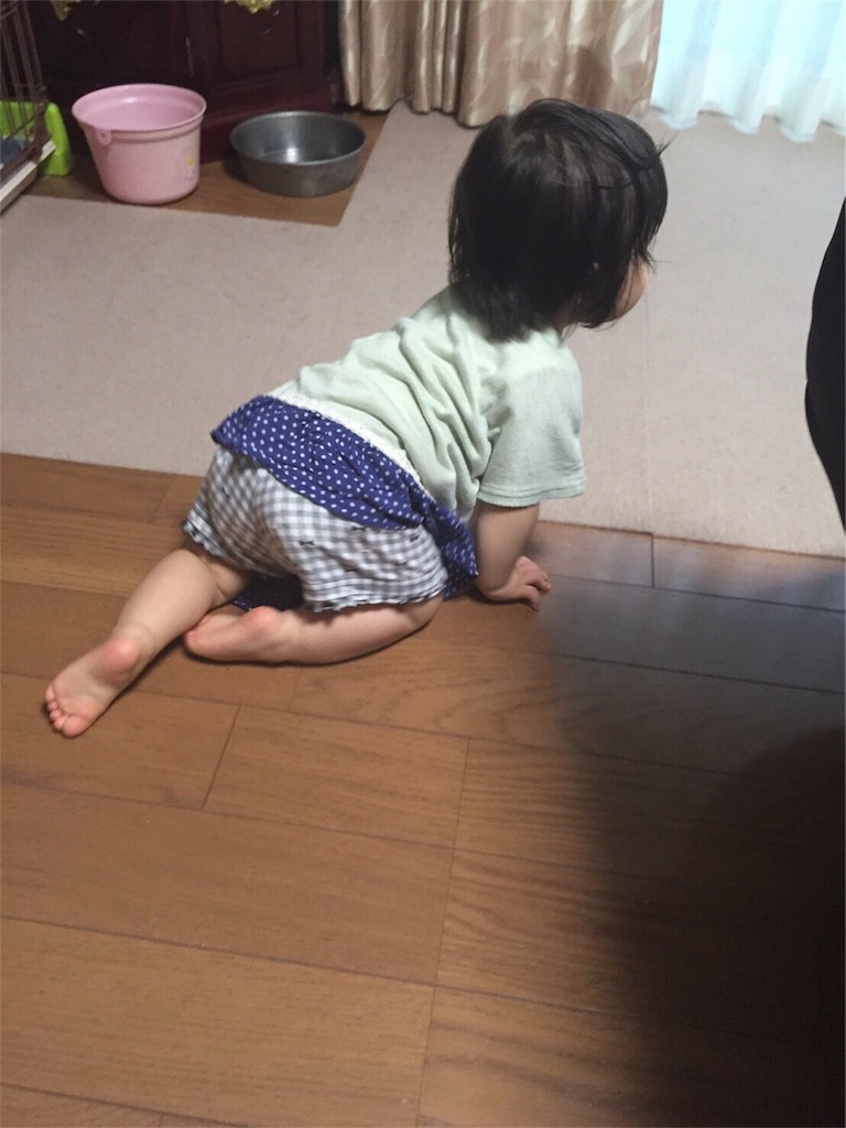 f:id:sinnmaipapa:20160725063344j:image f:id:sinnmaipapa:20160725063344j:image