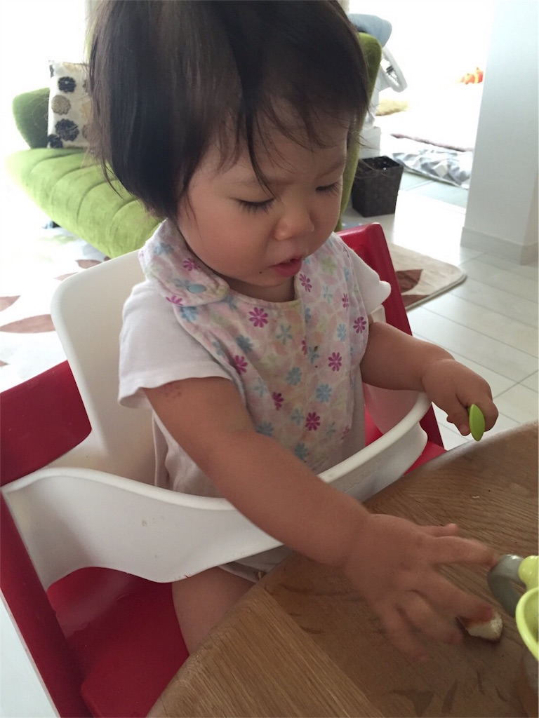 f:id:sinnmaipapa:20160810182241j:image f:id:sinnmaipapa:20160810182241j:image