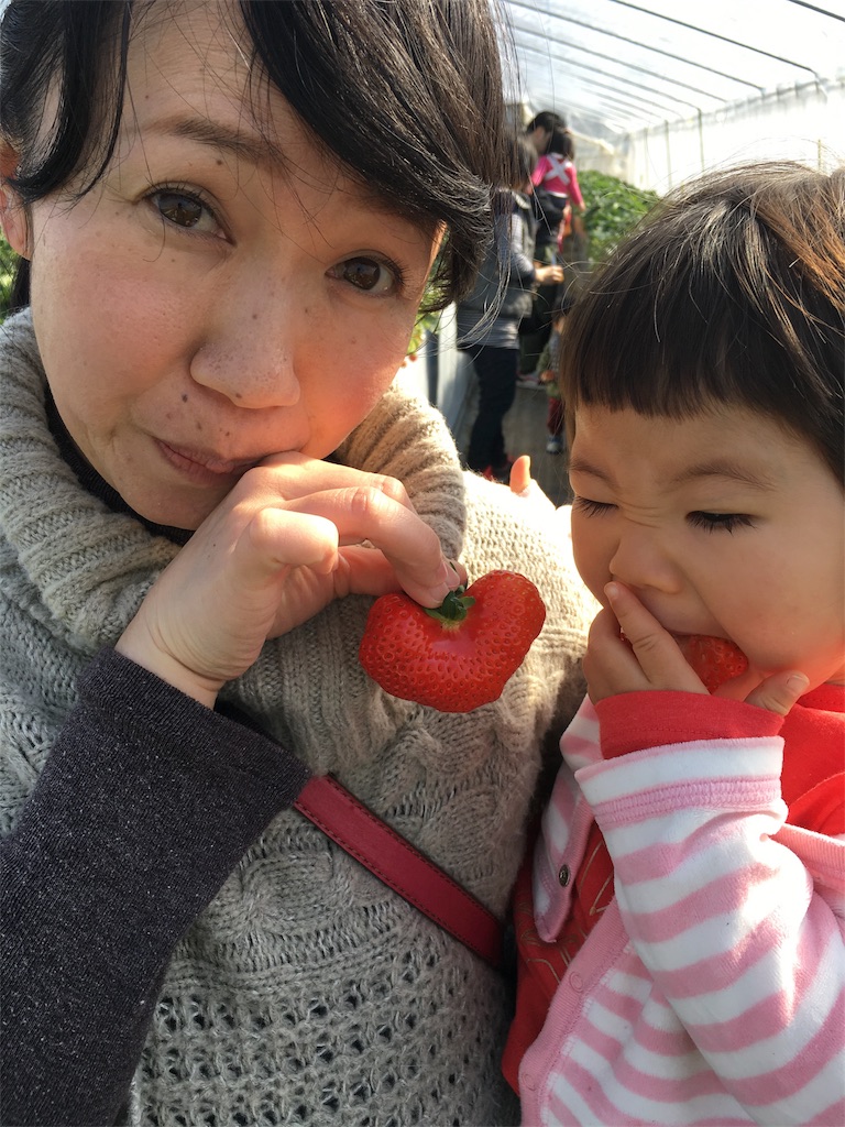 f:id:sinnmaipapa:20170219201951j:image f:id:sinnmaipapa:20170219201951j:image