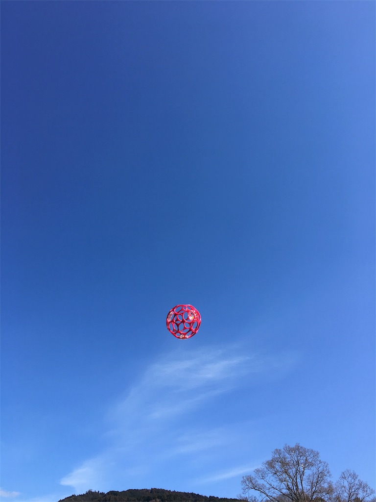 f:id:sinnmaipapa:20170219202655j:image f:id:sinnmaipapa:20170219202655j:image