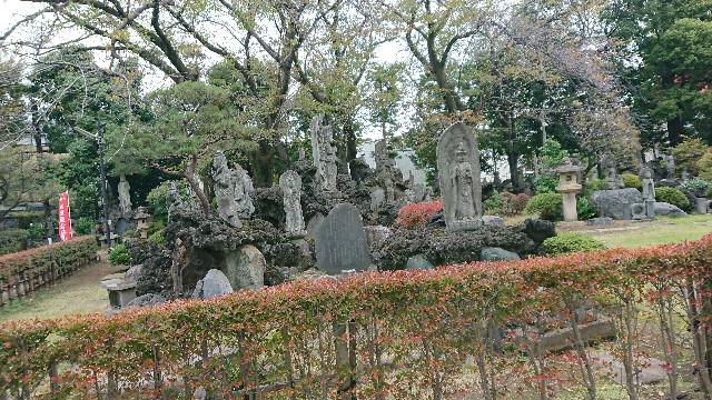 f:id:sinnosuke22:20181123091317j:image f:id:sinnosuke22:20181123091317j:image