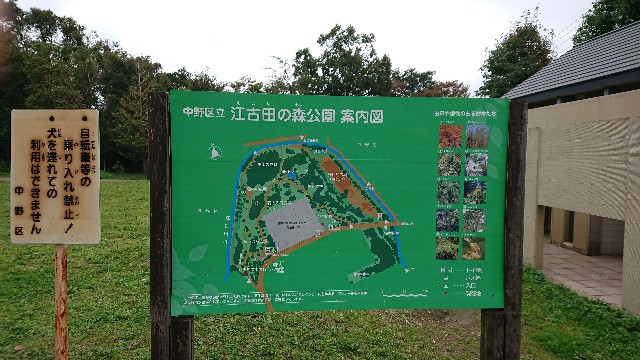 f:id:sinnosuke22:20181123091846j:image f:id:sinnosuke22:20181123091846j:image