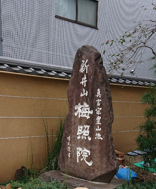 f:id:sinnosuke22:20181123095032j:image f:id:sinnosuke22:20181123095032j:image