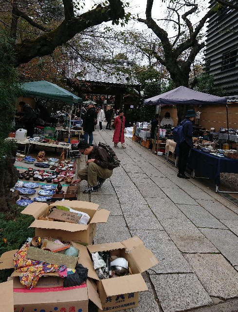 f:id:sinnosuke22:20181123095326j:image f:id:sinnosuke22:20181123095326j:image