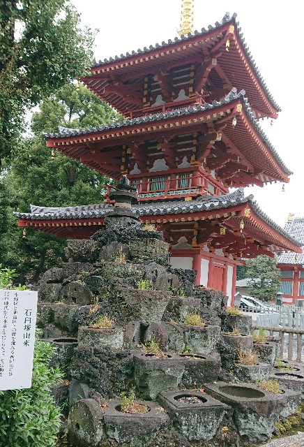 f:id:sinnosuke22:20181123102411j:image f:id:sinnosuke22:20181123102411j:image