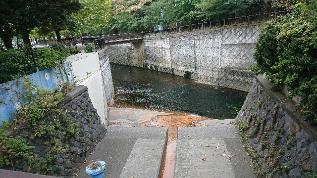 f:id:sinnosuke22:20181123111446j:image f:id:sinnosuke22:20181123111446j:image