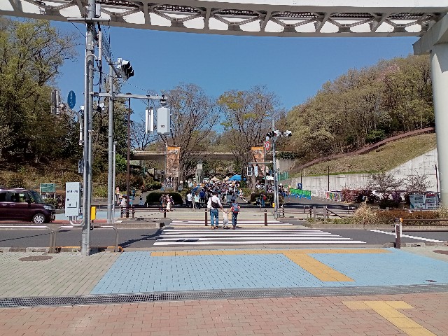 f:id:sinnosuke22:20220410174553j:image f:id:sinnosuke22:20220410174553j:image