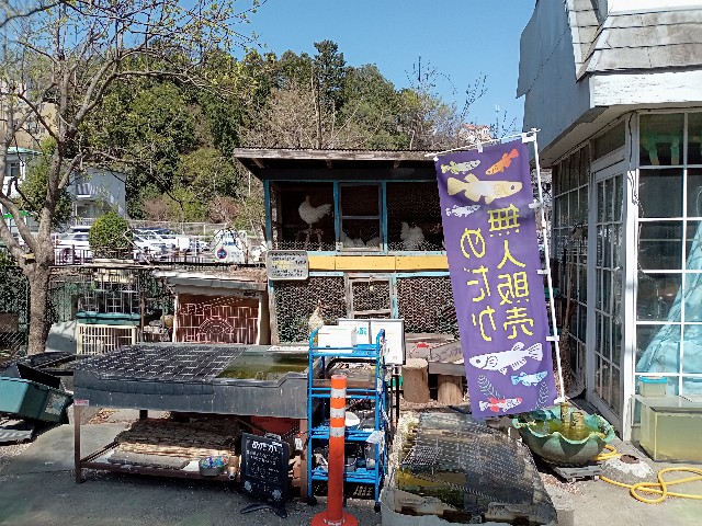 f:id:sinnosuke22:20220410183308j:image f:id:sinnosuke22:20220410183308j:image