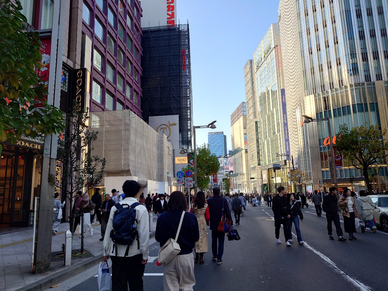 f:id:sinnosuke22:20251202094751j:image f:id:sinnosuke22:20251202094751j:image