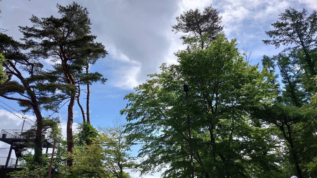 f:id:sinnosuke22:20251220224439j:image f:id:sinnosuke22:20251220224439j:image