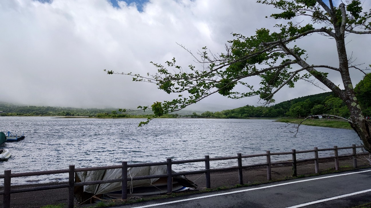 f:id:sinnosuke22:20251220224629j:image f:id:sinnosuke22:20251220224629j:image