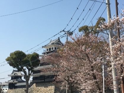 f:id:sinobu-ms:20180328181231j:image f:id:sinobu-ms:20180328181231j:image