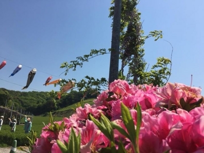 f:id:sinobu-ms:20180422220130j:image f:id:sinobu-ms:20180422220130j:image