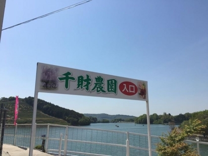 f:id:sinobu-ms:20180422220134j:image f:id:sinobu-ms:20180422220134j:image