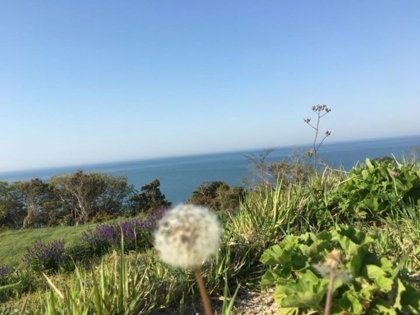f:id:sinobu-ms:20180422220901j:image f:id:sinobu-ms:20180422220901j:image