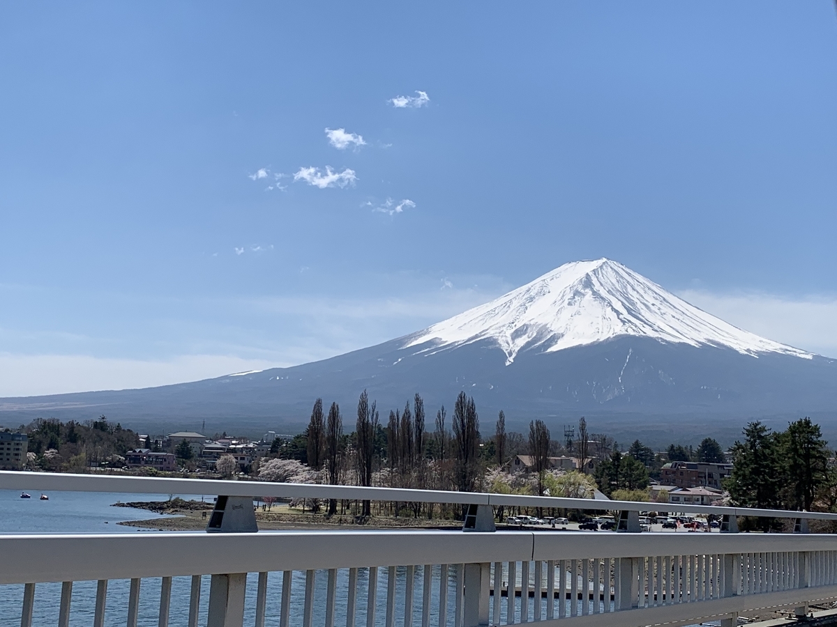 f:id:sinobu-ms:20190419232115j:plain