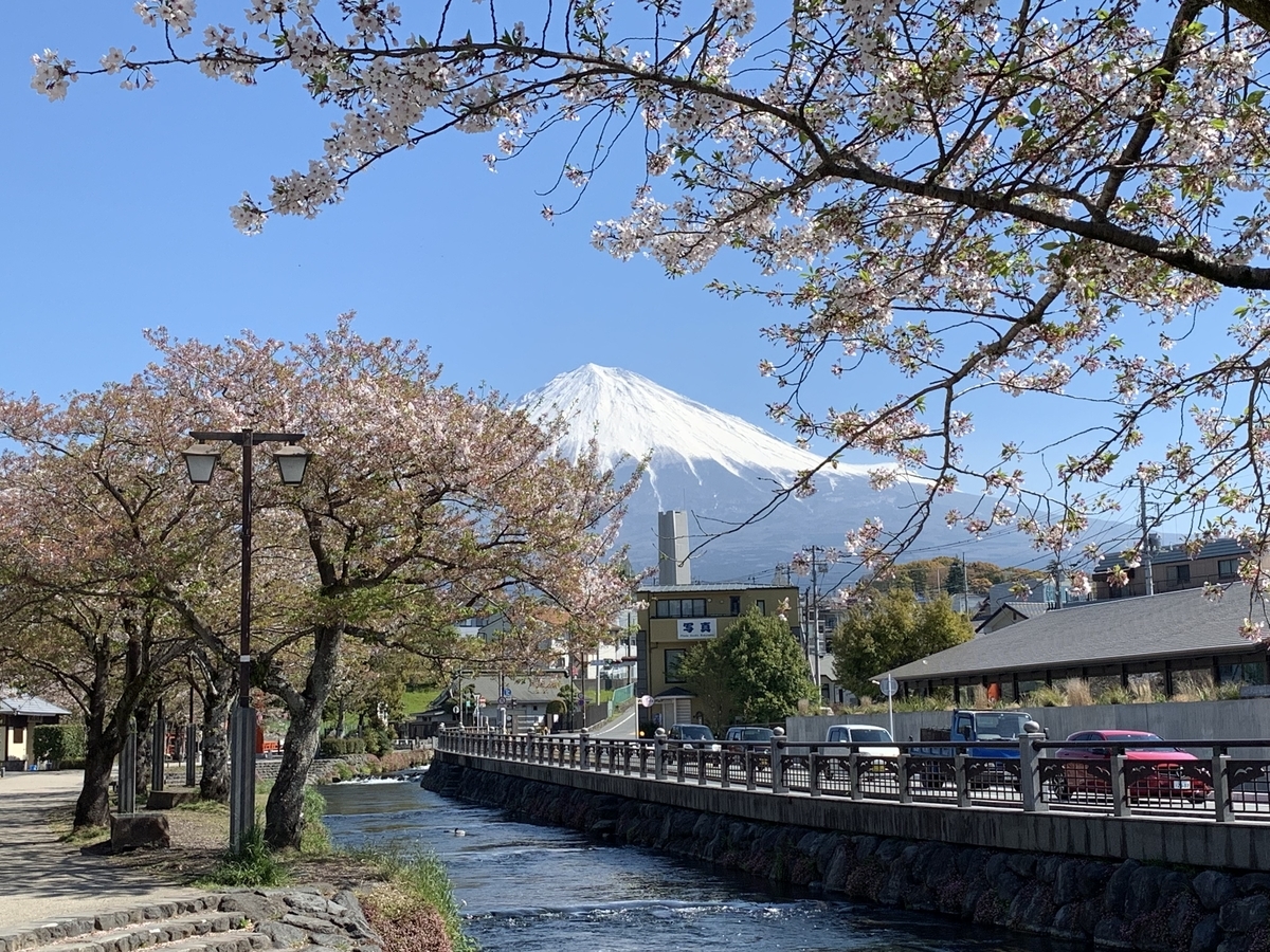 f:id:sinobu-ms:20190419232304j:plain