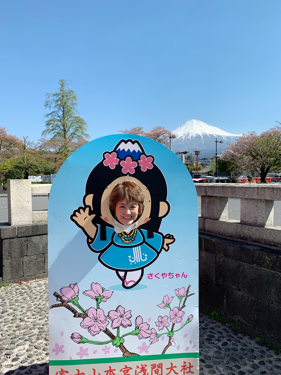 f:id:sinobu-ms:20190420214055j:plain
