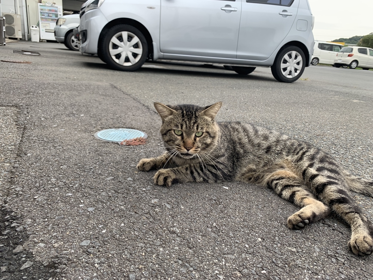 f:id:sinobu-ms:20190907122838j:plain