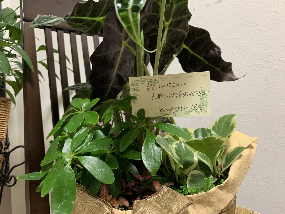 f:id:sinobu-ms:20191007210935j:plain f:id:sinobu-ms:20191007210935j:plain