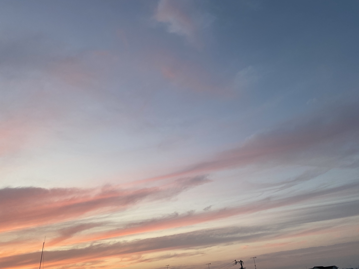 f:id:sinobu-ms:20200622205134j:plain