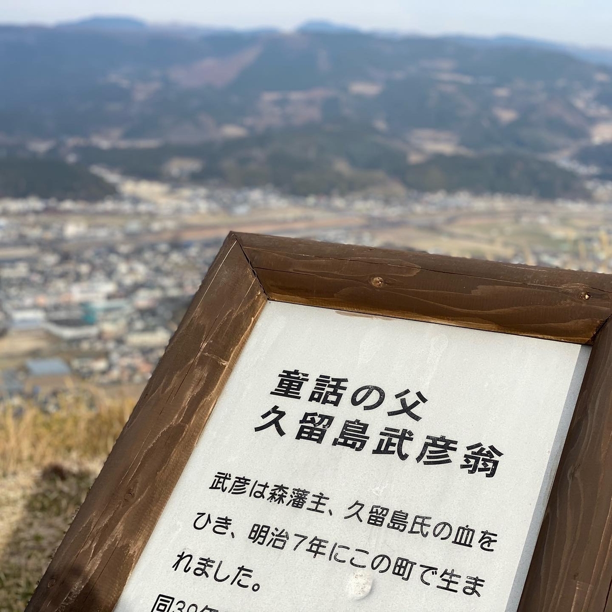 f:id:sinobu-ms:20201227234940j:plain
