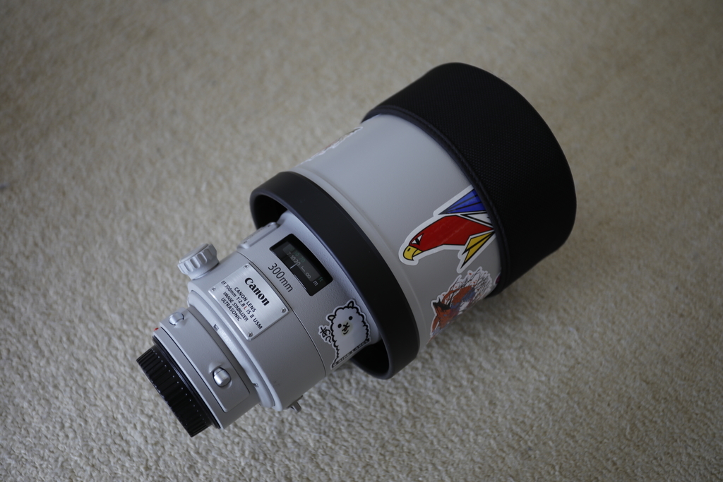EF 300mm F2.8L IS II USMのレビュー的なもの - ありはらろぐ