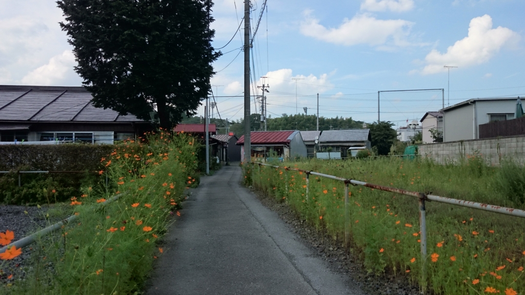 f:id:sinomiy:20170114164431j:plain f:id:sinomiy:20170114164431j:plain