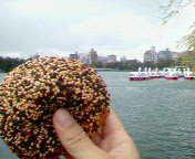 f:id:sinosuke:20050403160800:image
