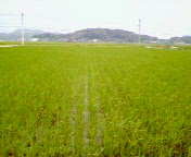 f:id:sinosuke:20050723112400j:image