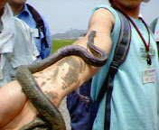 f:id:sinosuke:20050723114500j:image