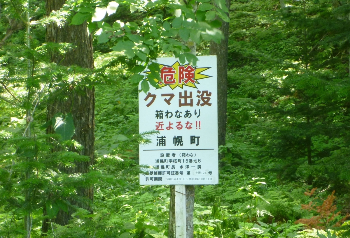 川流布K-Pg境界層の観察 - しのうしのブログ