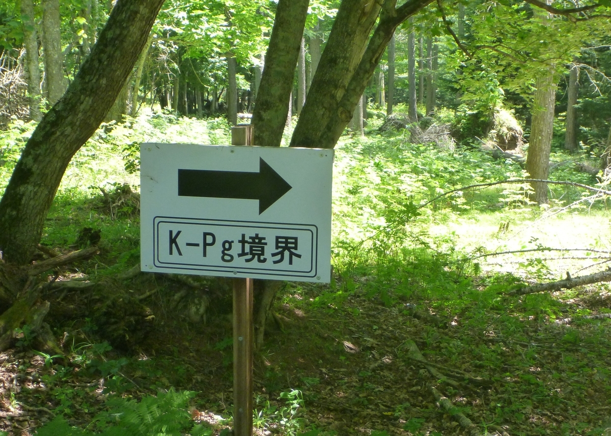 川流布K-Pg境界層の観察 - しのうしのブログ