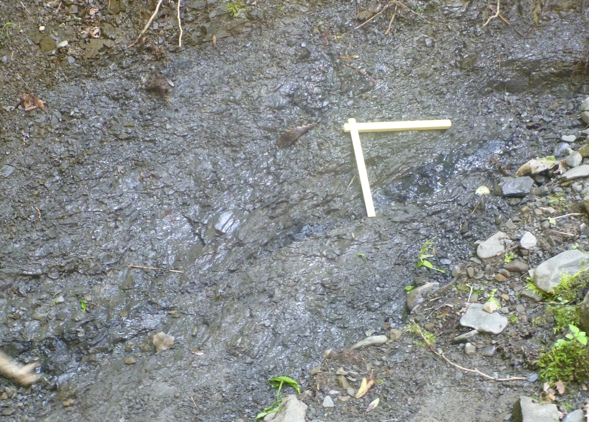 川流布K-Pg境界層の観察 - しのうしのブログ