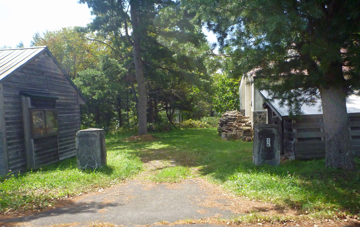 f:id:sinousi-2:20210923114644j:plain